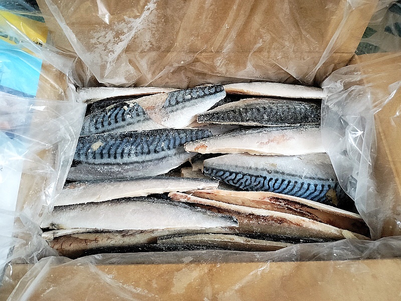 ���� �Ϥ�������ܡ�����