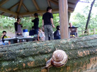 BBQ�ǽв�ä������ĥ��