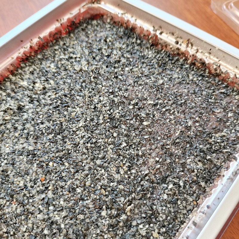 ���󤴤��� ���򳫤������