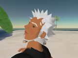Second Life 上での姿