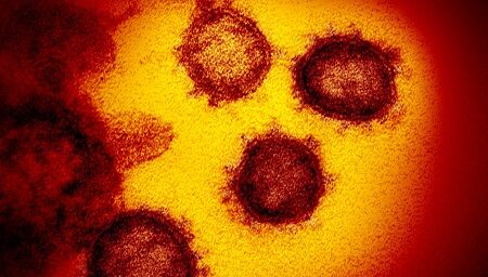 ベルギー 変異株 感染爆発 新型コロナウイルスに関連した画像-01