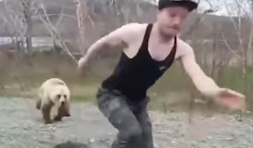 動画 野生のクマに背中を見せた結果 うわぁあああああああ オレ的ゲーム速報 刃