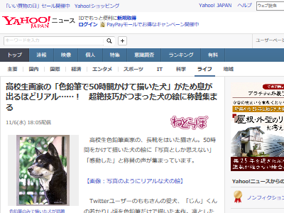 高校生色鉛筆画家の 50時間かけて描いた犬 がリアルすぎてツイッター民騒然 どう見ても写真 天才画家 オレ的ゲーム速報 刃 高校生色鉛筆画家の 50時間かけて描いた犬 がリアルすぎてツイッター民騒然 どう見ても写真 天才画家 オレ的ゲーム速報 刃