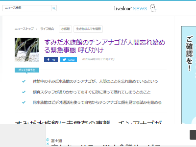 󥢥ʥ ʹ  ˺ ² ˴Ϣ-02