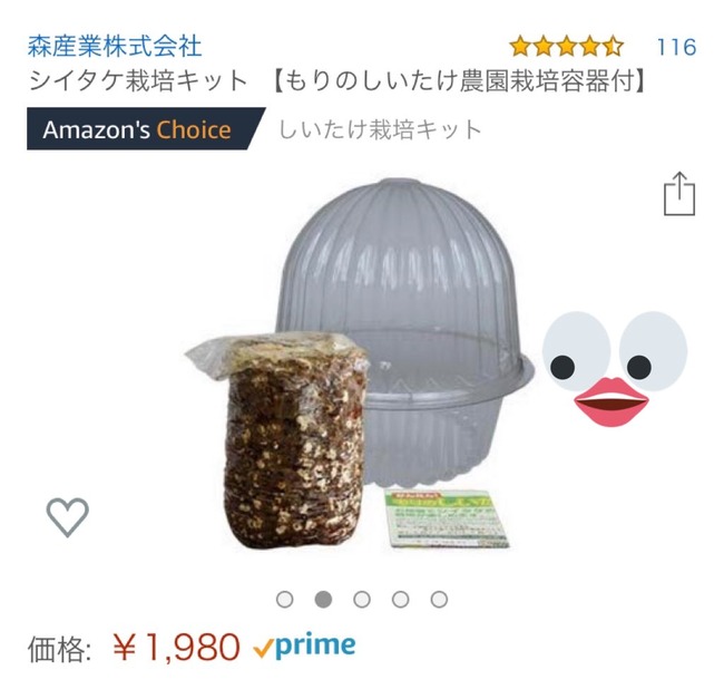 ������������ ��ʬž�� ��������˴�Ϣ��������-02