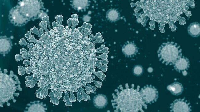 コロナ　新型コロナウイルス　第9波　感染拡大　感染者　高校に関連した画像-01