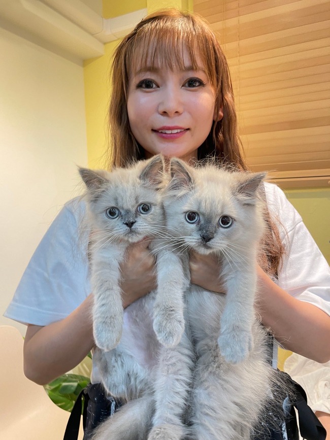 中川翔子 しょこたん 保護猫 引き取り 聖人に関連した画像-03