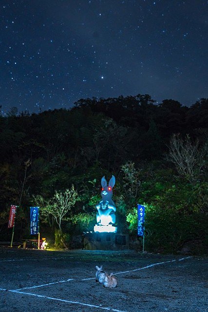 お寺 ウサギ 観音 住職に関連した画像-02