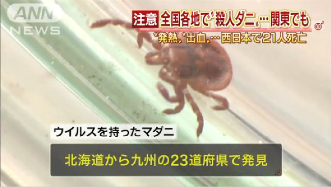 殺人ダニ