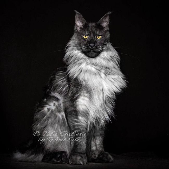 ���� ǭ ���⤭ǭ�˴�Ϣ��������-04