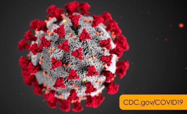 新型コロナウイルス 感染 10代女性 死亡 基礎疾患 非公開に関連した画像-01