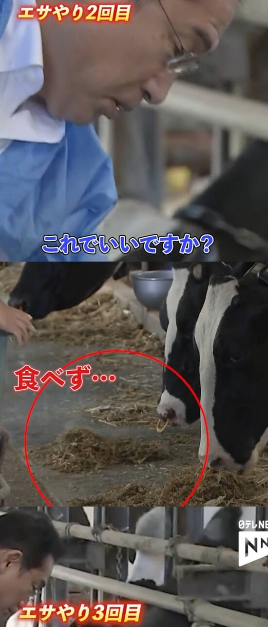 増税 牛肉 岸田首相 かわいい 税金 牛 畜産業に関連した画像-03
