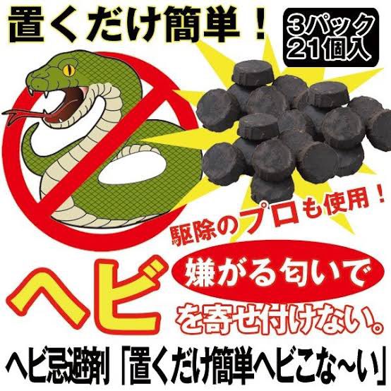 アメリカ 家 ヘビ 駆除 全焼に関連した画像-04
