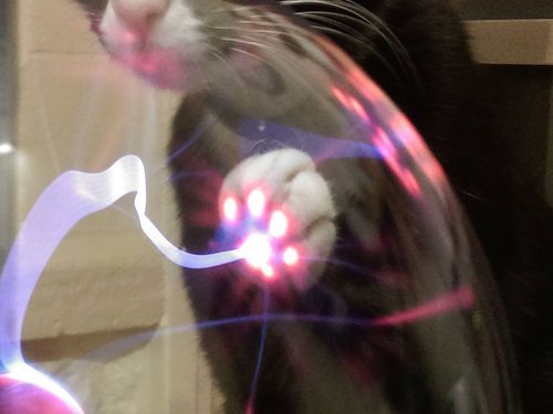 プラズマボール　SF　猫に関連した画像-05
