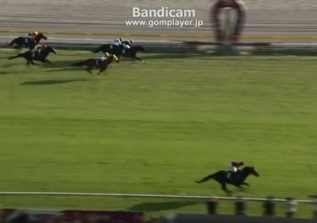 動画あり 昨日の東京競馬場で行われたエイシンヒカリのレースが圧倒的すぎるｗｗｗｗｗｗｗ なにこれｗｗｗ オレ的ゲーム速報 刃