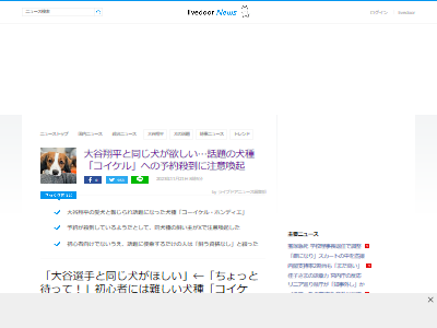 ��ë��ʿ����ë���ꡡ�ߡ��ϡ�������֥꡼�������������롡���Ǵ�������ˡ�ͽ�󡡻��������������롦�ۥ�ǥ������ڥåȡ��ե��å���󡡥֥��ɤ˴�Ϣ��������-02