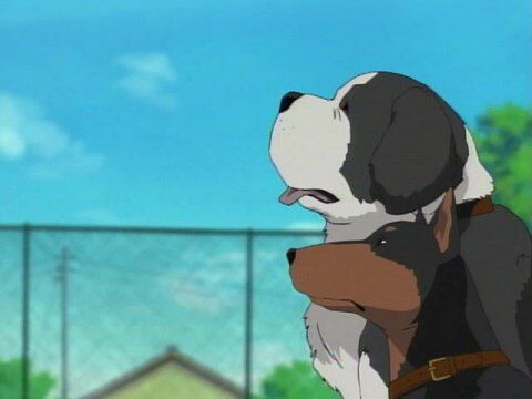 子供行方不明アメリカ犬2匹に関連した画像-01