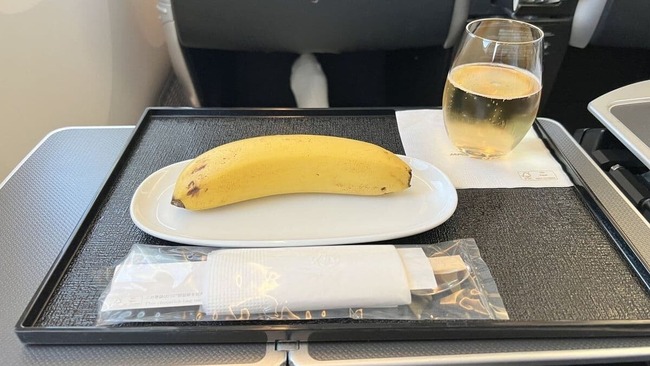 JAL 国際線 ヴィーガン 機内食 簡素 外国人に関連した画像-03