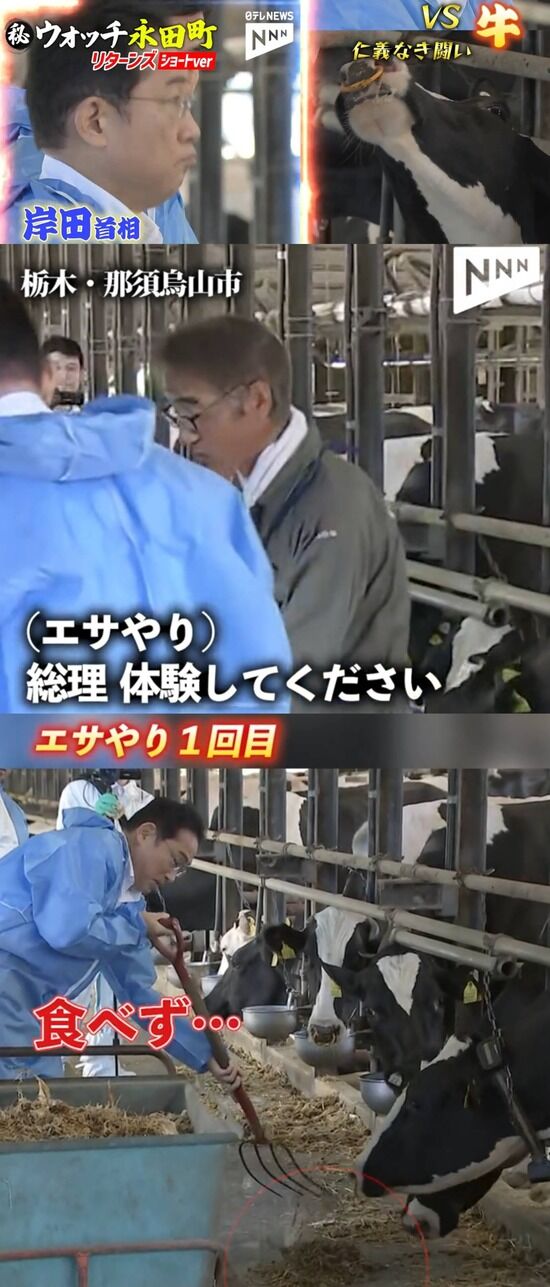 増税 牛肉 岸田首相 かわいい 税金 牛 畜産業に関連した画像-02