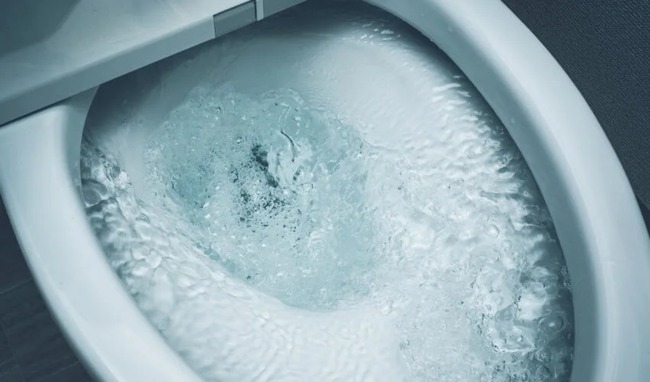 実験 トイレ 便器 蓋 オープン 排水 エアロゾル 大量 噴射に関連した画像-01