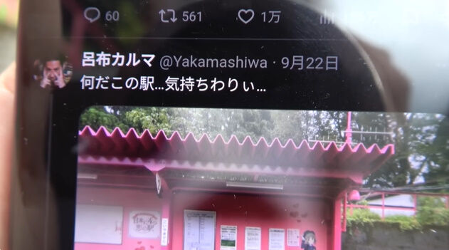 Ϥ�ۥ���� �������� �ԥ󥯱� �������� ���˥�ʸ�� �Ķ� ������ YouTuber ���⥪���˴�Ϣ��������-03