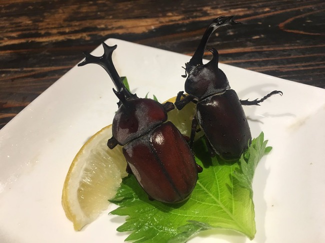 ���֥ȥॷ�����ò������Ѥ˴�Ϣ��������-02
