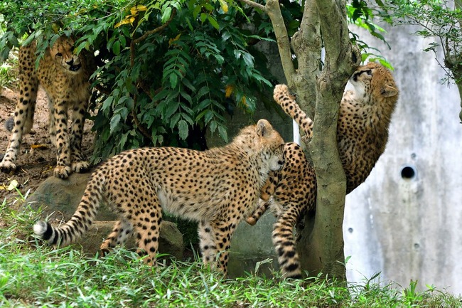 �������� �� ɽ��˴�Ϣ��������-03