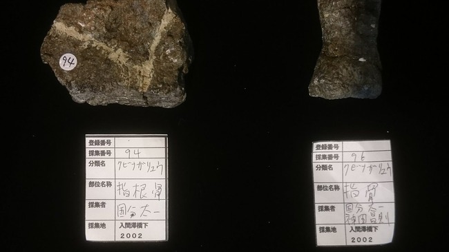 TOKIO��Ŵ�ӥ��å��塡���ӥʥ���奦�����С�ʡ��˴�Ϣ��������-03