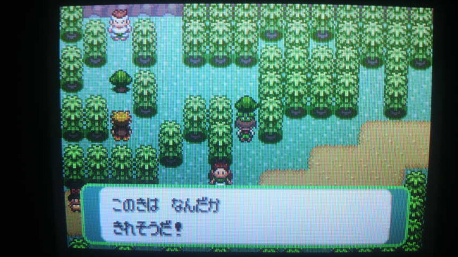 ポケモンに関連した画像-06