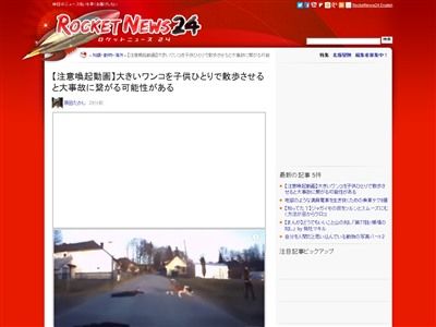 犬 動画に関連した画像-02