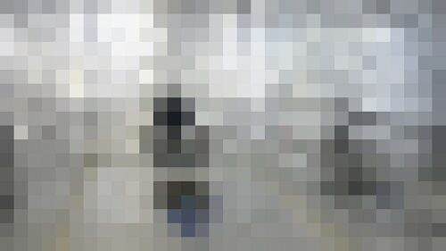 輸送 コンテナ 拷問 秘密 オランダに関連した画像-01