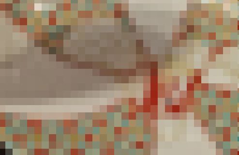 日本 料理店 皿 二度見に関連した画像-01