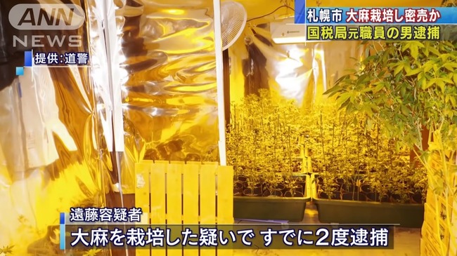 �����ǿ��� ����̩�� ���ݤ˴�Ϣ��������-06