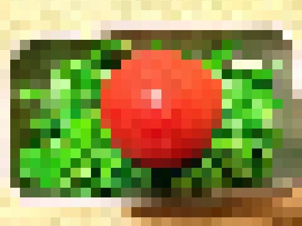 ¥ß¥Ë¥È¥Þ¥È¡¡¤ªÊÛÅö¡¡¼çÉØ¡¡Ã¶Æá¤Ë´ØÏ¢¤·¤¿²èÁü-01