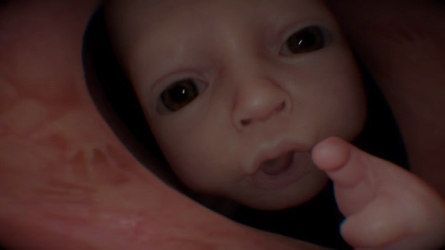 ���������Ļ����֤����T����Ĥ˴�Ϣ��������-01