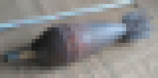 砲弾 不発弾 実家 解体 自衛隊に関連した画像-01