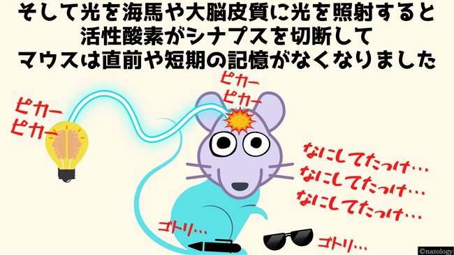 京都大学 研究 光 マウス 記憶消去 ニューラライザーに関連した画像-04