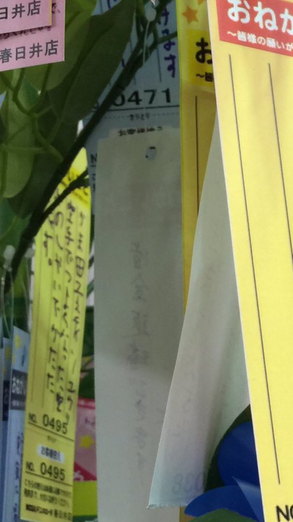 ドン・キホーテ 七夕 短冊 願い事 商店街に関連した画像-03