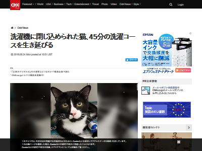 猫 洗濯機 重症に関連した画像-02