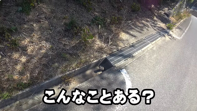 渥美拓馬 YouTuber 釣り 猫 子猫 保護 捨て猫 迷子 動画 再生数に関連した画像-08