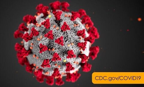 新型コロナウイルス 重症化 遺伝的危険因子 ネアンデルタール由来に関連した画像-01