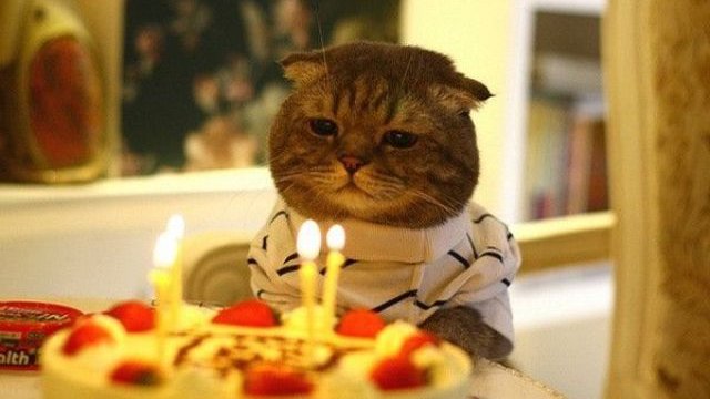���Ӥӱ�ž�����ᡡ�������˴�Ϣ��������-01