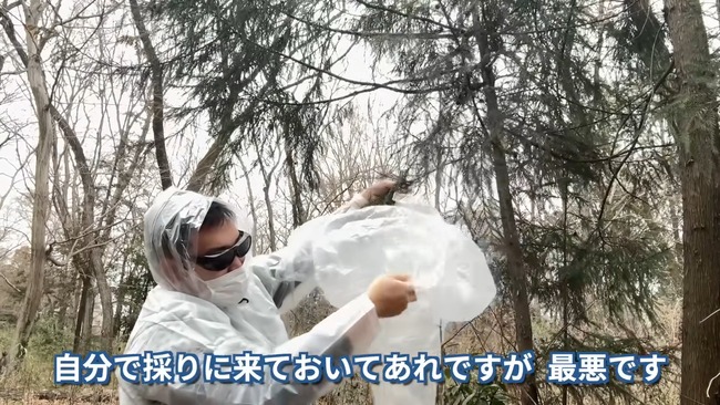 ユーチューバー 茸本朗 スギ花粉 お菓子作り 松花糕に関連した画像-02