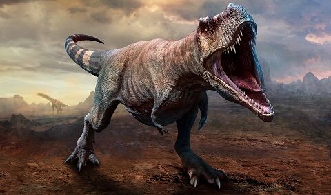 トカゲ ワニ 恐竜 T-REX 歯 牙 研究 骨格に関連した画像-01