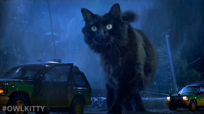 ジュラシック・パーク ティラノサウルス 猫 パロディに関連した画像-01