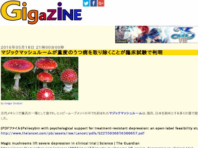 違法きのこ マジックマッシュルームで重度の鬱病に効く事が判明 5時間夢の世界へぶっ飛ぶ オレ的ゲーム速報 刃