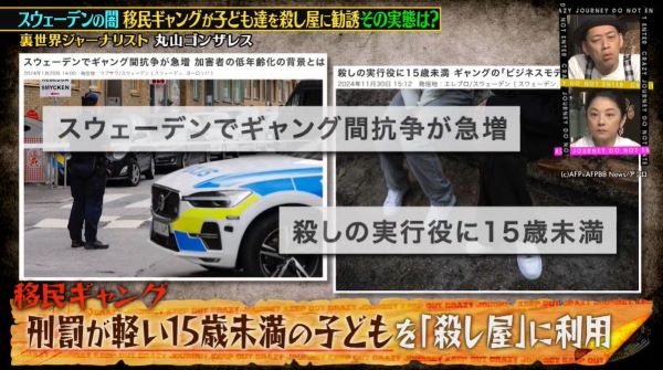 ���쥤�������㡼�ˡ������������ǥ��̲�����̱������󥰡����¡��Ⱥ�Ψ���ݻ����󥶥쥹�˴�Ϣ��������-08