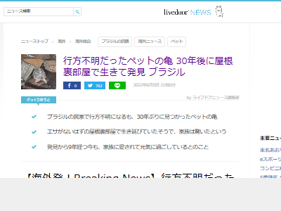 �ڥåȡ�������������������΢��������ȯ������¸�˴�Ϣ��������-02