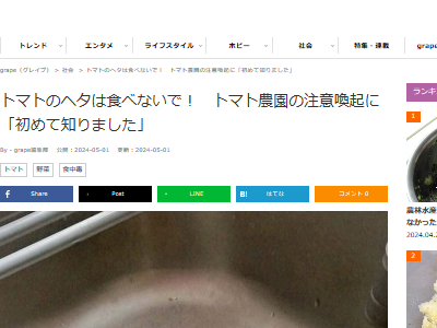 �ȥޥȡ��إ����������������ࡡ�����Ǥ˴�Ϣ��������-02