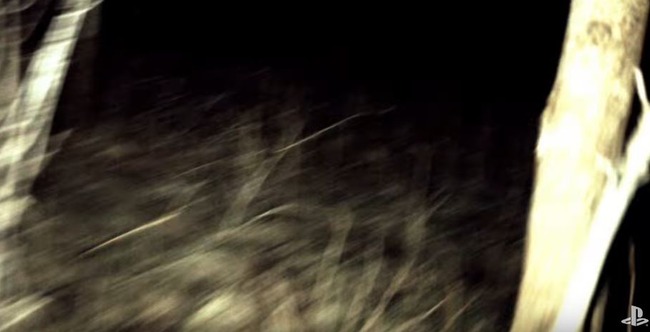 »à°õ¡¡PSVita¡¡¥Û¥é¡¼¤Ë´ØÏ¢¤·¤¿²èÁü-04